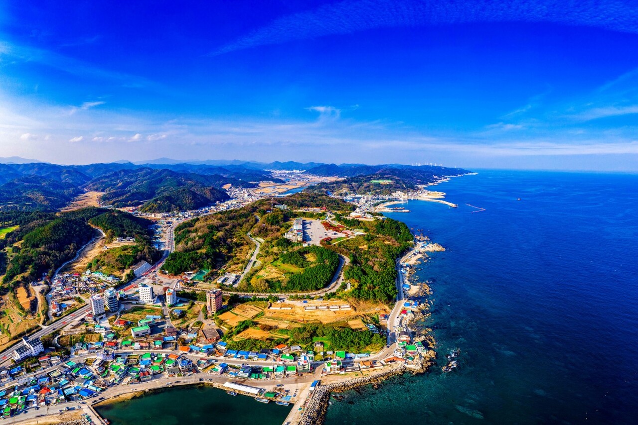 유럽같은 바다와 울창한 숲을 한 번에 즐길 수 있는 영덕 가족 여행 코스
