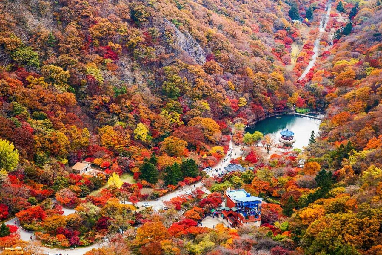 '가을 단풍이 아름다운 명소' 마음이 정화되는 단풍을 보기 제격인 국내 여행지