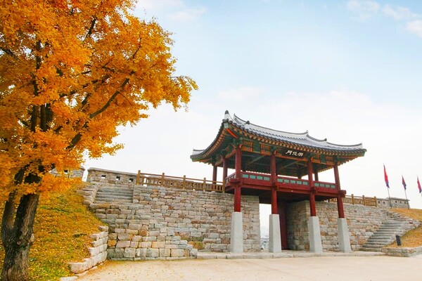 ‘홍성 여행 추천’ 홍성글로벌바비큐 축제와 함께 하는 홍성 관광 BEST 4