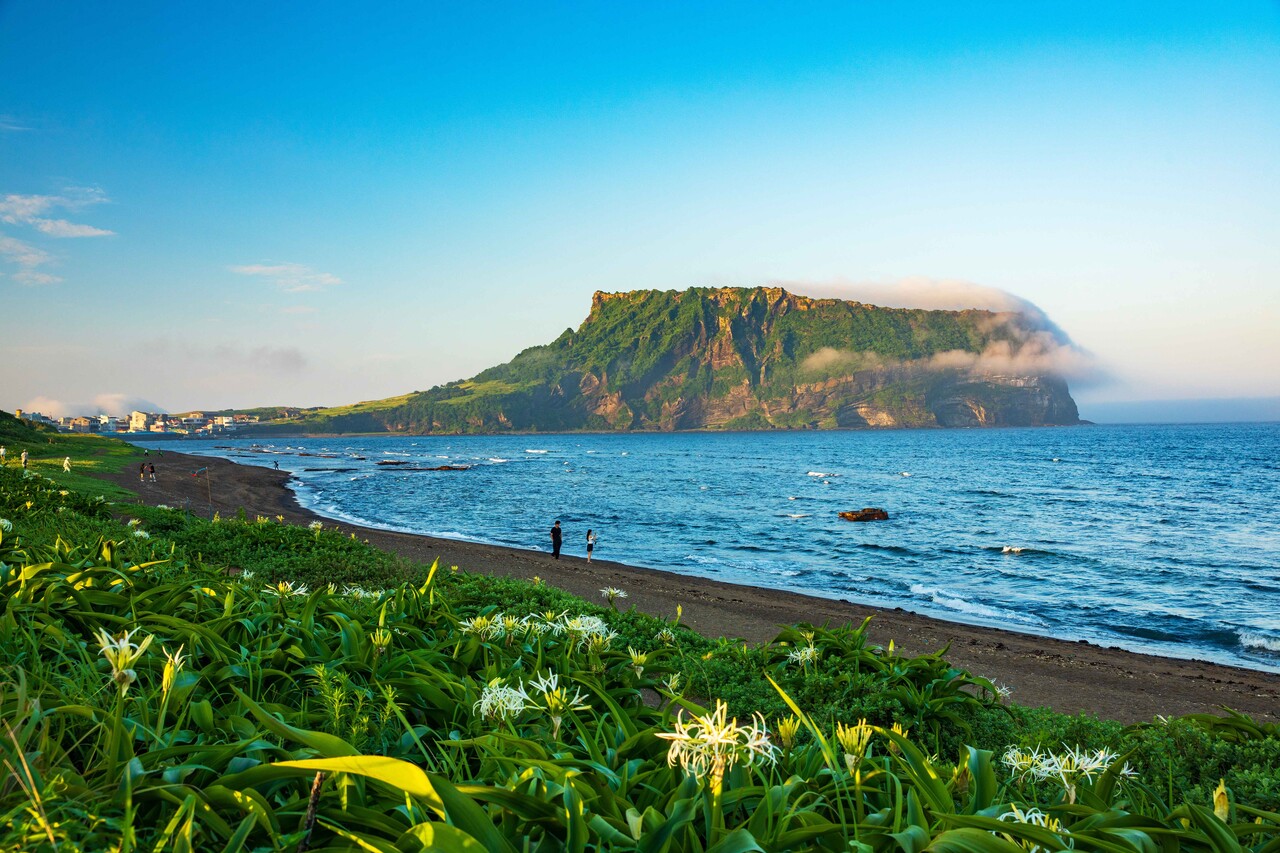 혼자 여행 하기 좋은 곳으로 떠나자! 고즈넉한 시간을 즐길 수 있는 나홀로 여행 < 국내여행 < 기사본문 - 인포매틱스뷰