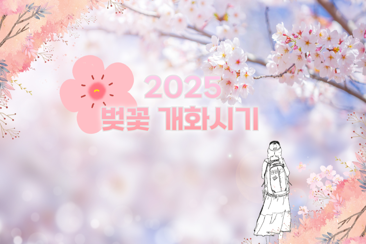 2025 한국의 벚꽃