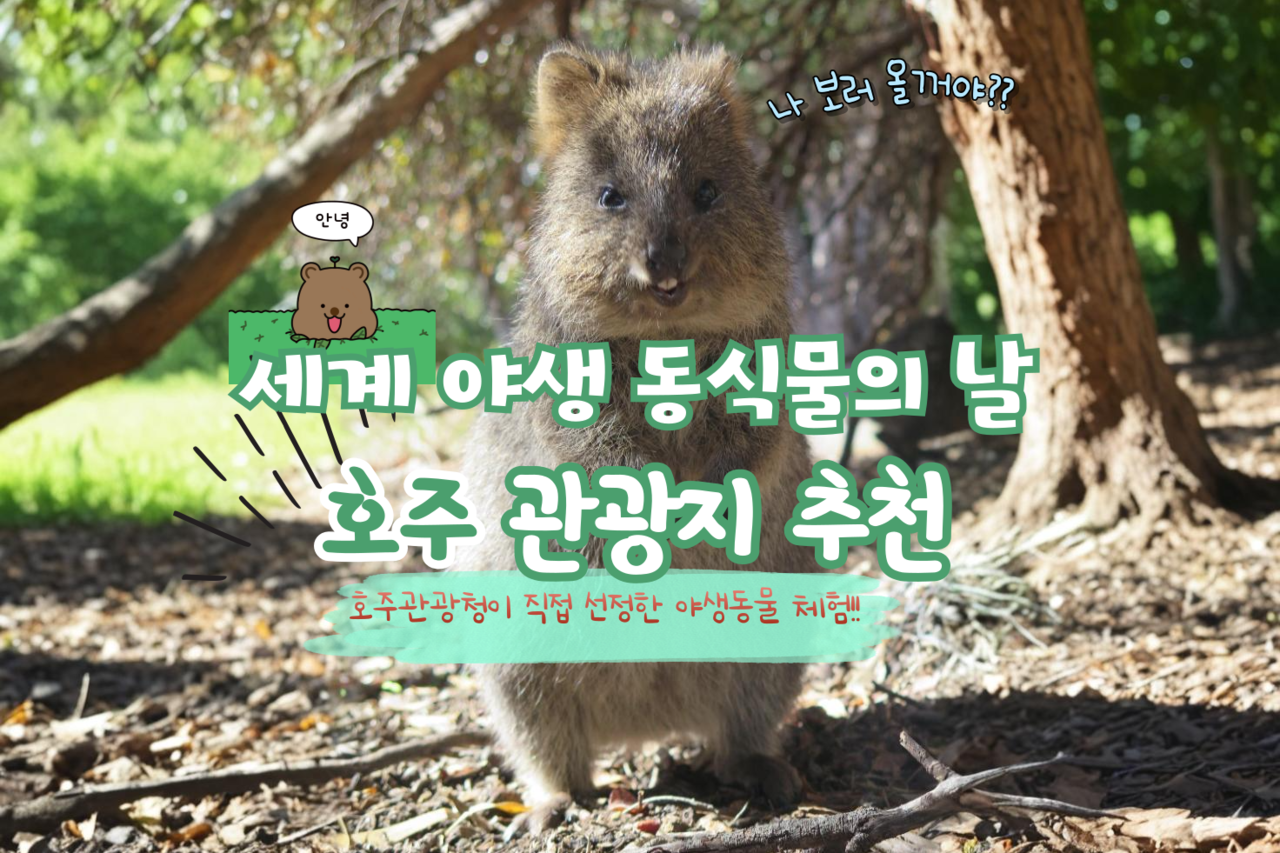 호주관광지, 세계 야생 동식물의 날 기념 꼭 가봐야할 호주관광청 추천 6곳