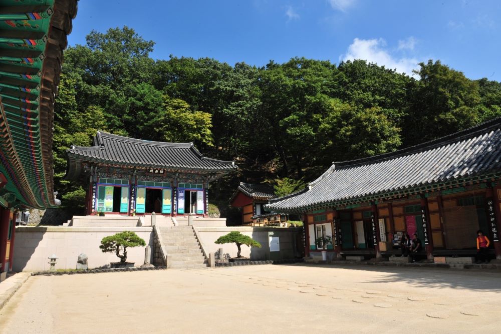 경산 여행 코스 | 한국의 세 성인을 배출한 경산 가볼 만한 곳 추천