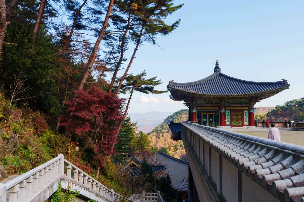 “광복 이후 창건됐지만, 규모와 위상은 국내 최대급 사찰” 단양 구인사
